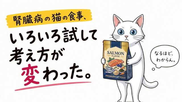 猫と腎臓病と食事の選び方
